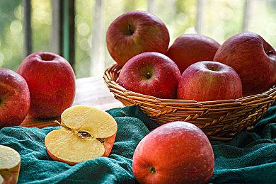 《牧场物语 Welcome！美丽人生》新宣传片公布